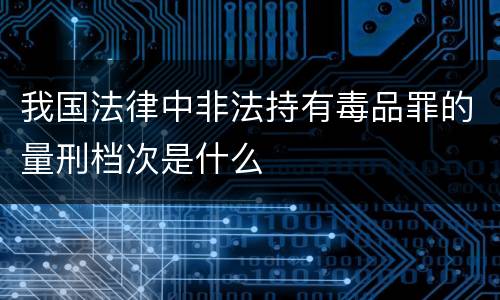 我国法律中非法持有毒品罪的量刑档次是什么