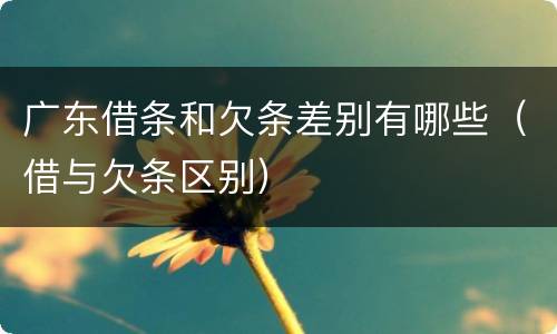 广东借条和欠条差别有哪些（借与欠条区别）