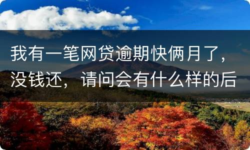 我有一笔网贷逾期快俩月了，没钱还，请问会有什么样的后果