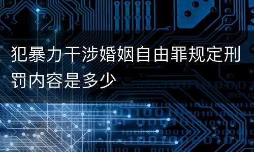 犯暴力干涉婚姻自由罪规定刑罚内容是多少