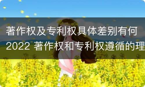 著作权及专利权具体差别有何2022 著作权和专利权遵循的理念