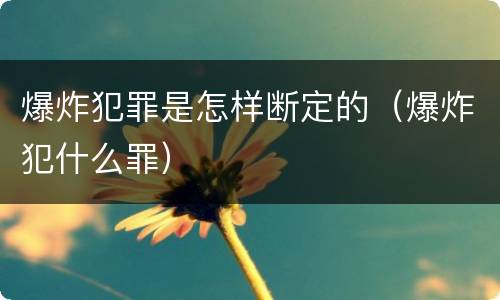 爆炸犯罪是怎样断定的（爆炸犯什么罪）
