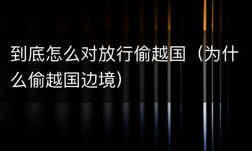 到底怎么对放行偷越国（为什么偷越国边境）