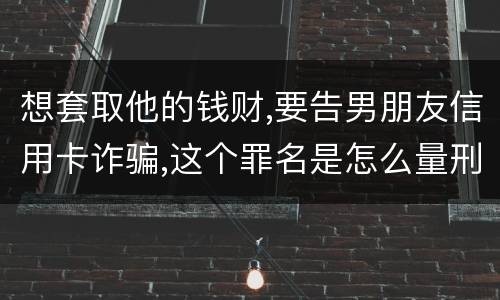 想套取他的钱财,要告男朋友信用卡诈骗,这个罪名是怎么量刑的啊