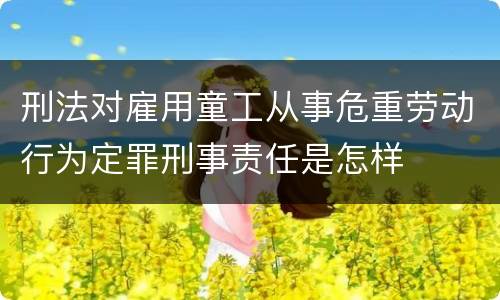 刑法对雇用童工从事危重劳动行为定罪刑事责任是怎样