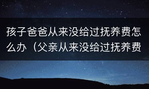 孩子爸爸从来没给过抚养费怎么办（父亲从来没给过抚养费）