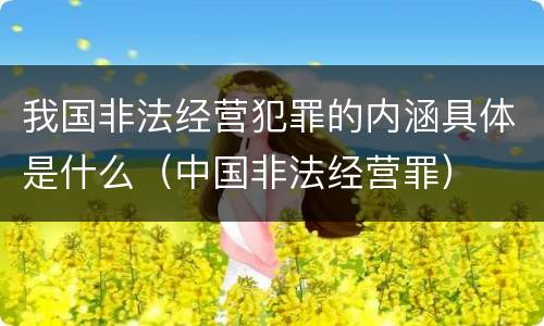 我国非法经营犯罪的内涵具体是什么（中国非法经营罪）