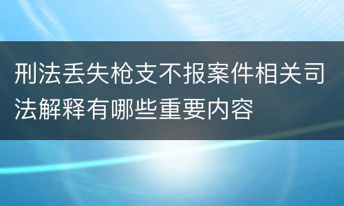 刑法丢失枪支不报案件相关司法解释有哪些重要内容