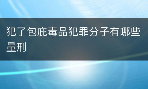 犯了包庇毒品犯罪分子有哪些量刑