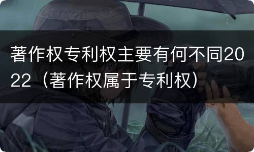著作权专利权主要有何不同2022（著作权属于专利权）