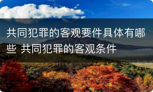 共同犯罪的客观要件具体有哪些 共同犯罪的客观条件