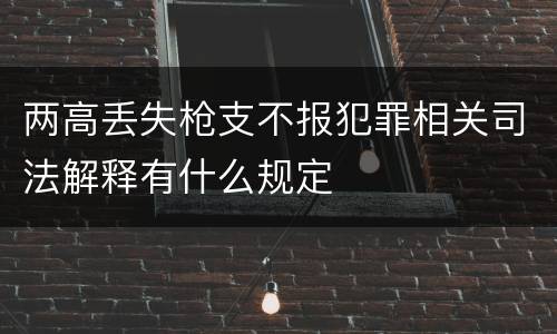 两高丢失枪支不报犯罪相关司法解释有什么规定
