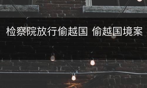 检察院放行偷越国 偷越国境案