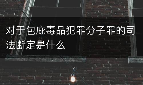 对于包庇毒品犯罪分子罪的司法断定是什么