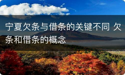 宁夏欠条与借条的关键不同 欠条和借条的概念