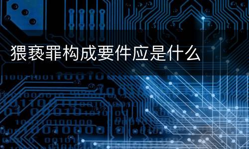 猥亵罪构成要件应是什么