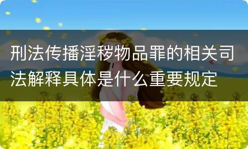 刑法传播淫秽物品罪的相关司法解释具体是什么重要规定