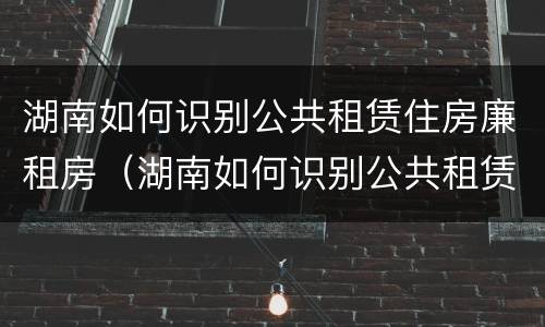 湖南如何识别公共租赁住房廉租房（湖南如何识别公共租赁住房廉租房名单）