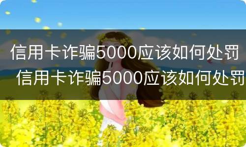 信用卡诈骗5000应该如何处罚 信用卡诈骗5000应该如何处罚呢