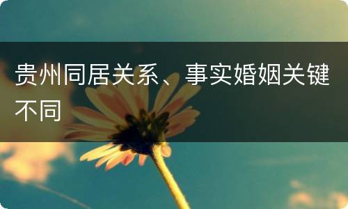 贵州同居关系、事实婚姻关键不同