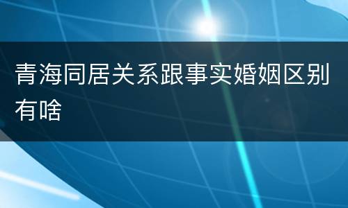 青海同居关系跟事实婚姻区别有啥