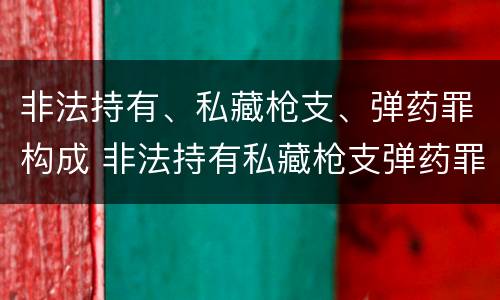 非法持有、私藏枪支、弹药罪构成 非法持有私藏枪支弹药罪的犯罪主体