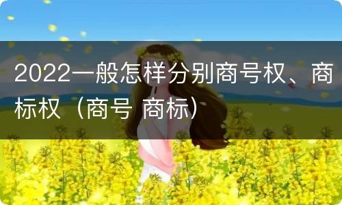 2022一般怎样分别商号权、商标权（商号 商标）