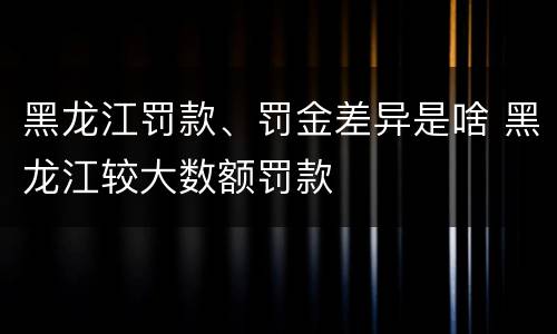 黑龙江罚款、罚金差异是啥 黑龙江较大数额罚款
