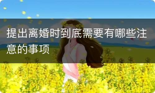 提出离婚时到底需要有哪些注意的事项