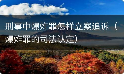 刑事中爆炸罪怎样立案追诉（爆炸罪的司法认定）