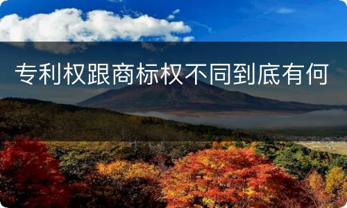 专利权跟商标权不同到底有何