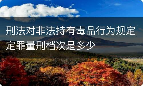 刑法对非法持有毒品行为规定定罪量刑档次是多少