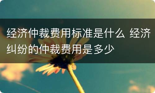 经济仲裁费用标准是什么 经济纠纷的仲裁费用是多少