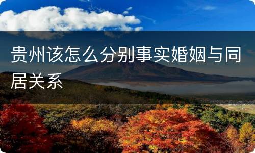 贵州该怎么分别事实婚姻与同居关系