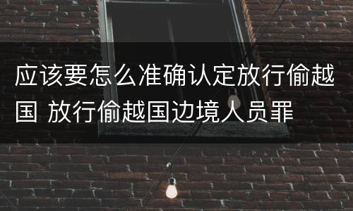 应该要怎么准确认定放行偷越国 放行偷越国边境人员罪