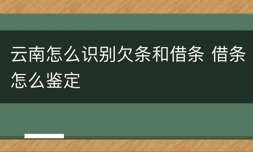 云南怎么识别欠条和借条 借条怎么鉴定