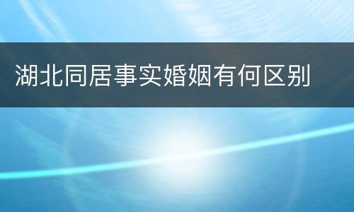 湖北同居事实婚姻有何区别