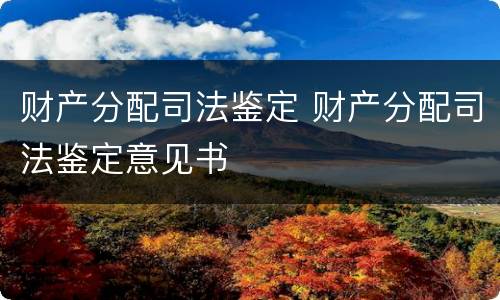 财产分配司法鉴定 财产分配司法鉴定意见书