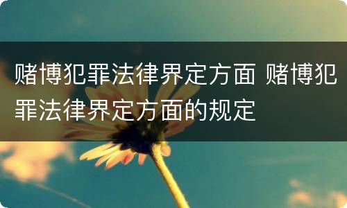 赌博犯罪法律界定方面 赌博犯罪法律界定方面的规定