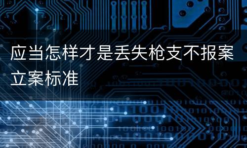 应当怎样才是丢失枪支不报案立案标准