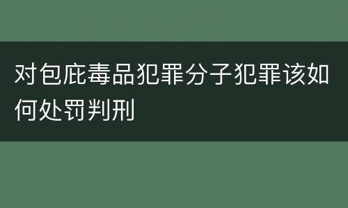 对包庇毒品犯罪分子犯罪该如何处罚判刑