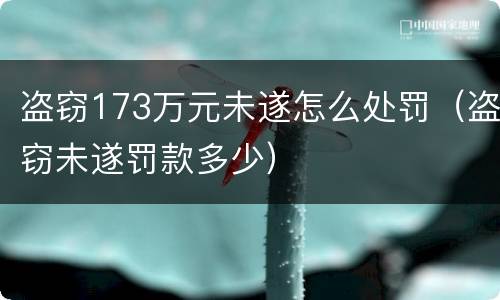 盗窃173万元未遂怎么处罚（盗窃未遂罚款多少）