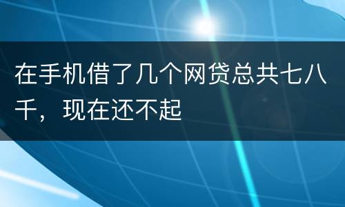 在手机借了几个网贷总共七八千，现在还不起