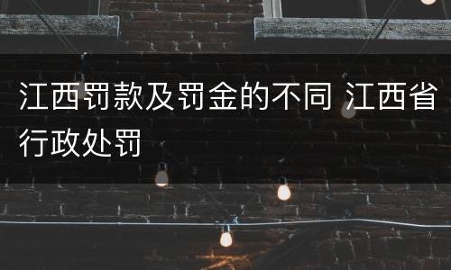 江西罚款及罚金的不同 江西省行政处罚