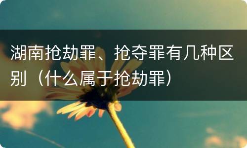 湖南抢劫罪、抢夺罪有几种区别（什么属于抢劫罪）