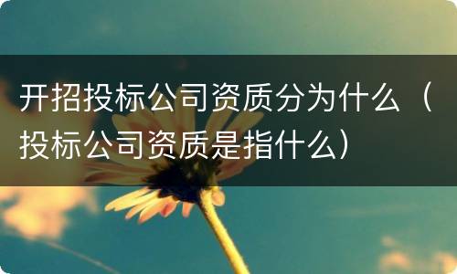 开招投标公司资质分为什么（投标公司资质是指什么）