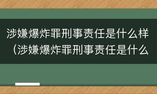 涉嫌爆炸罪刑事责任是什么样（涉嫌爆炸罪刑事责任是什么样的）