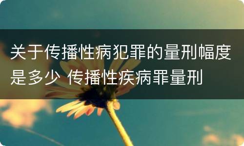 关于传播性病犯罪的量刑幅度是多少 传播性疾病罪量刑
