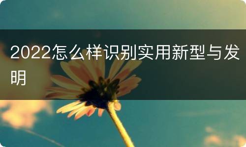 2022怎么样识别实用新型与发明
