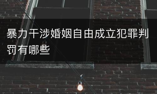 暴力干涉婚姻自由成立犯罪判罚有哪些